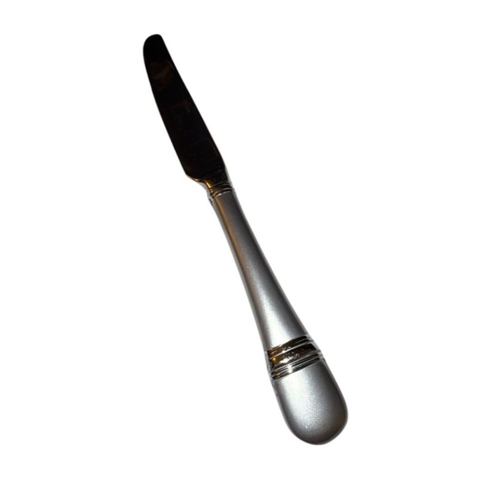 Oneida Astragal 18/10 Frost Glossy Stainless French Hollow Dinner Knife 9-1/2"